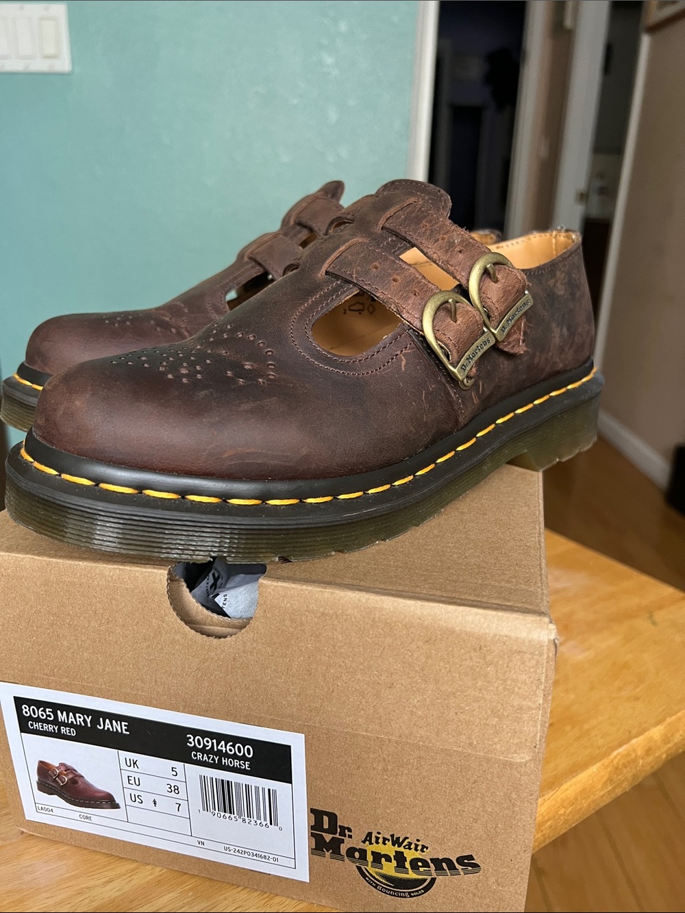 Dr. Martens Brown Crazy Horse Kids Mary Jane Shoes
